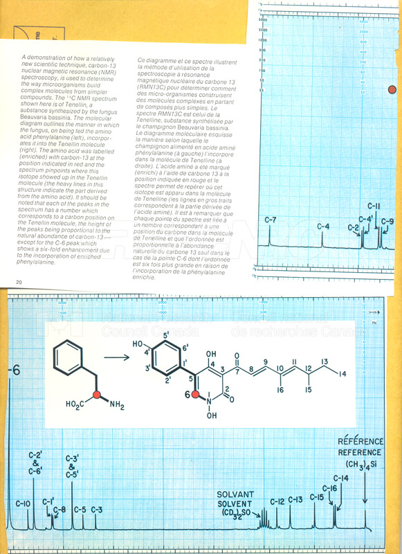 Brochure- Atlantic Regional Lab 82-01-007