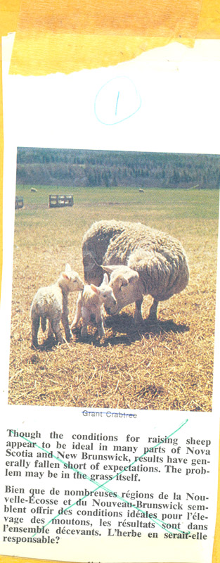 Brochure- Atlantic Regional Lab 82-01-037 002