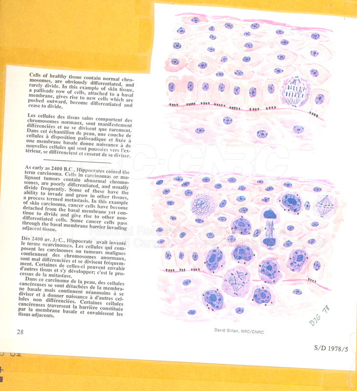 Brochure Biological Sciences 82-02-026