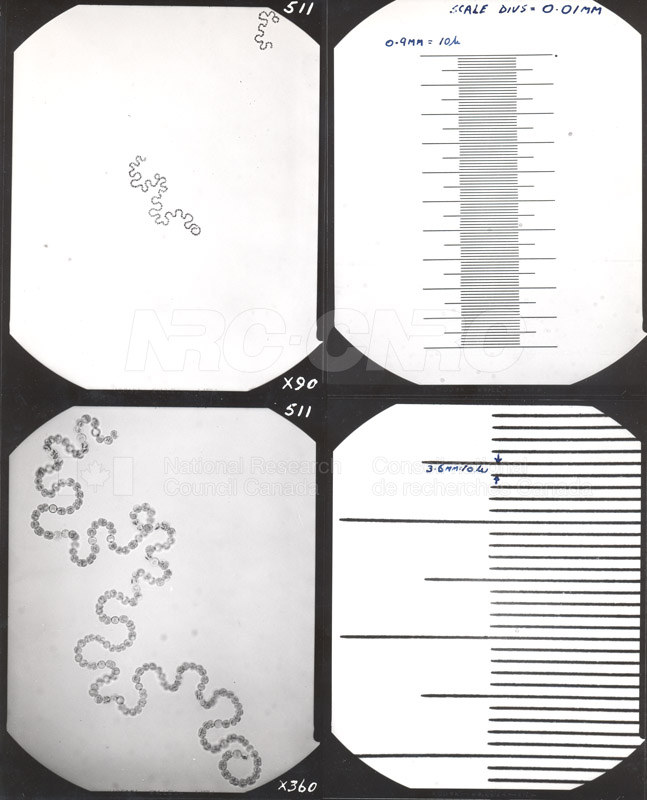 Microbiology 003