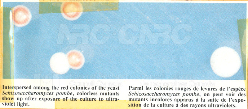 Brochure Biological Sciences 82-02-008 002