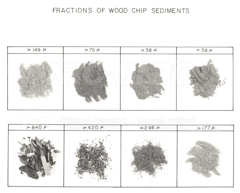 Ottawa River Bed Sediments 003