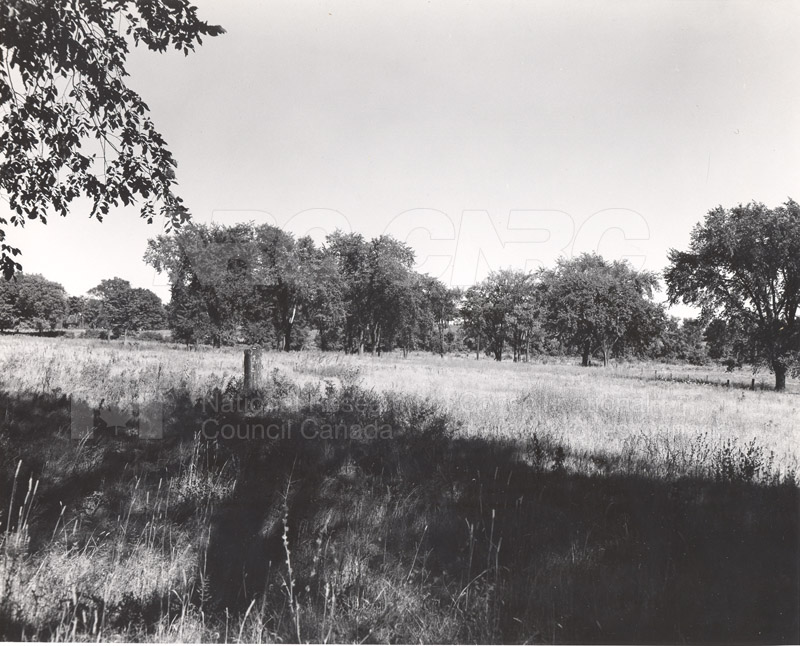 Site of Radio & E.E. Building (M-50) Before Construction- Mtl. Rd. Campus 007