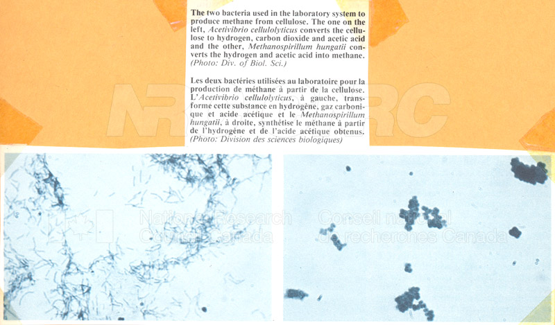 Brochure Biological Sciences 82-02-022