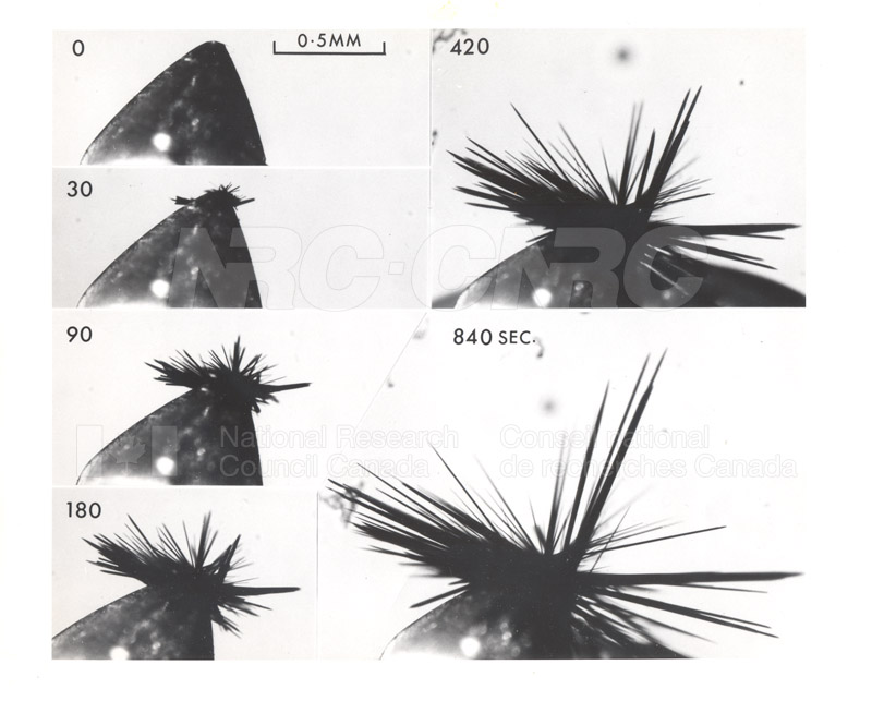 Growth of Pyrene Perchlorate Crystals on a Platinum Cathode- Time Sequence