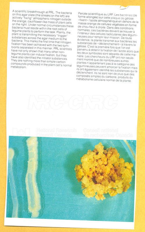 Brochure pour les sciences biologiques 82-03-011