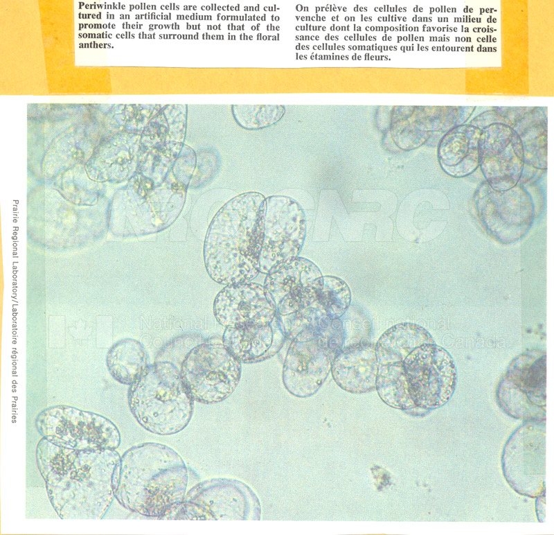 Brochure pour les sciences biologiques 82-03-022