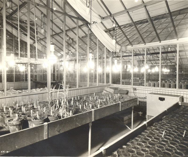 Agriculture and Biology- ''Greenhouses'' (KK-91)
