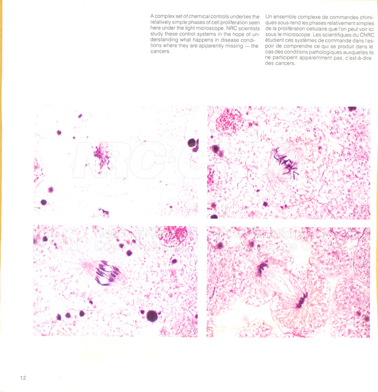 Brochure pour les sciences biologiques 82-02-007