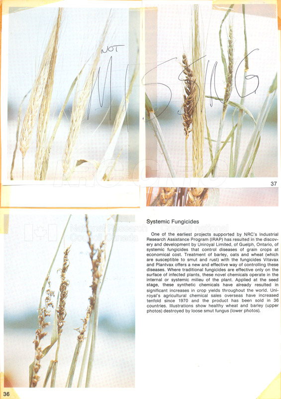 Brochure pour les sciences biologiques 82-02-030 002
