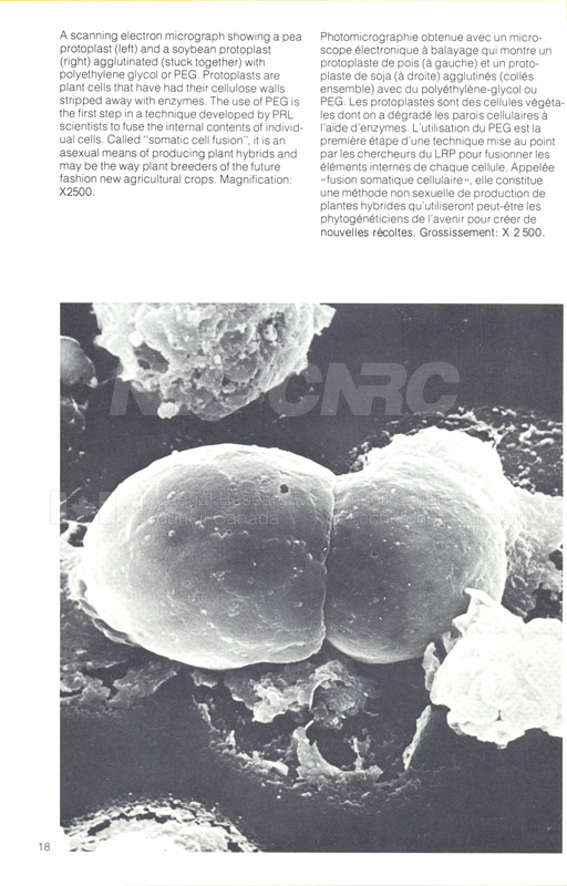 Brochure pour les sciences biologiques 82-03-042