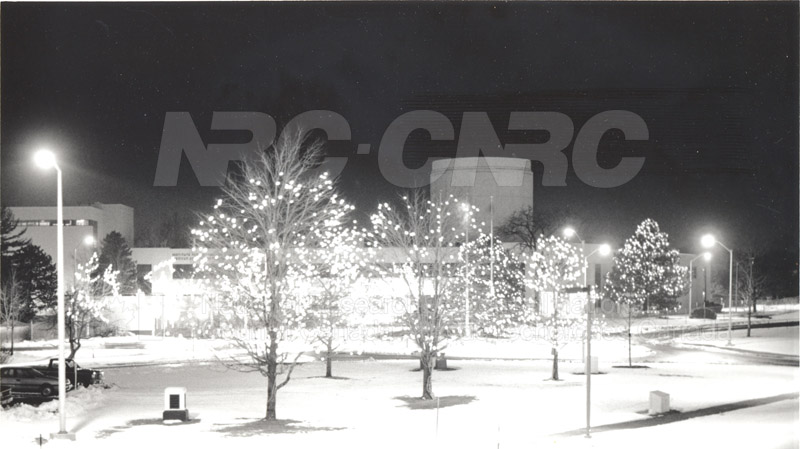 Montreal Road Campus Decorated for Christmas, Lights in trees outside M-20 001
