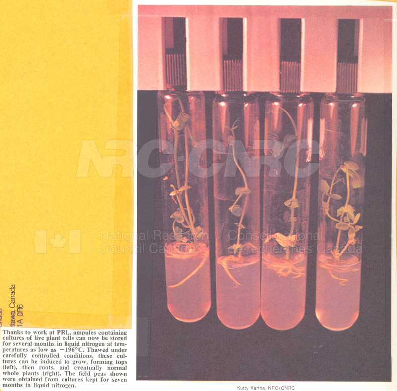 Brochure pour les sciences biologiques 82-03-028