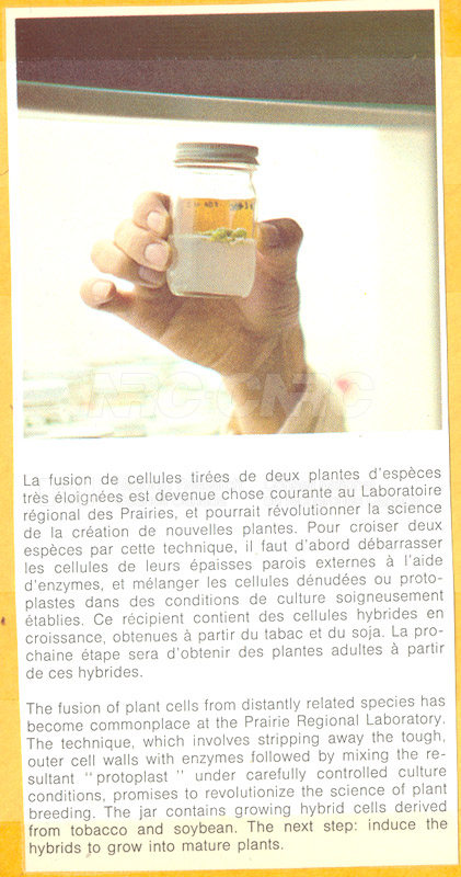 Brochure pour les sciences biologiques 82-03-019