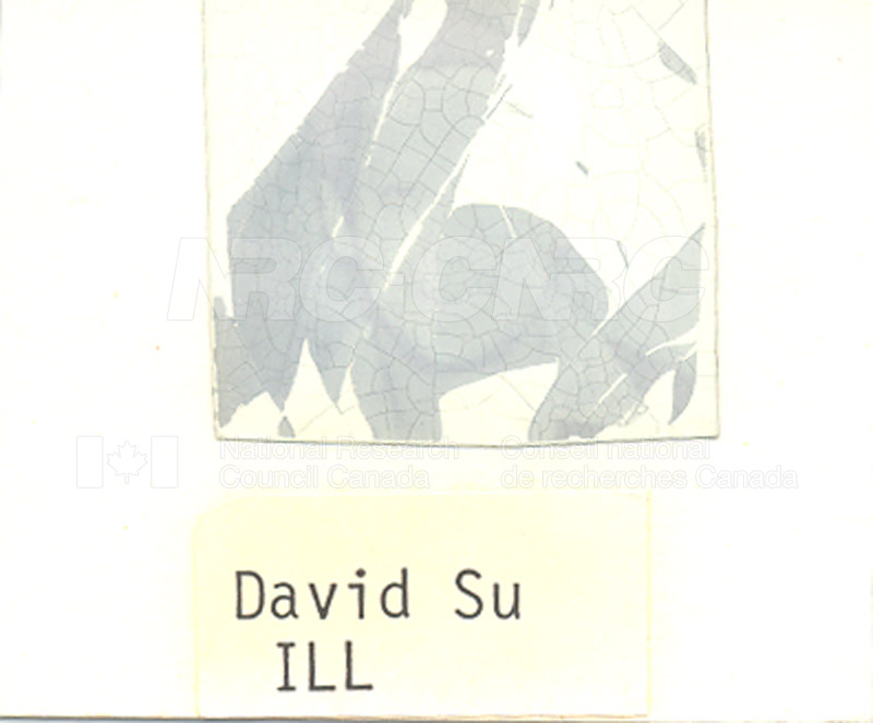 Photos de Badge de sécurité-divers instituts 007