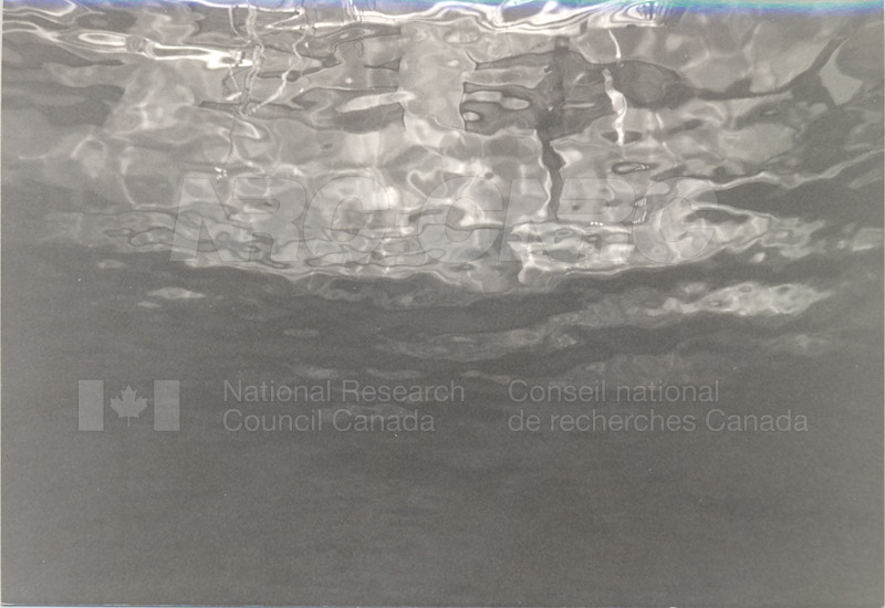 Model 382 Deep Level 008