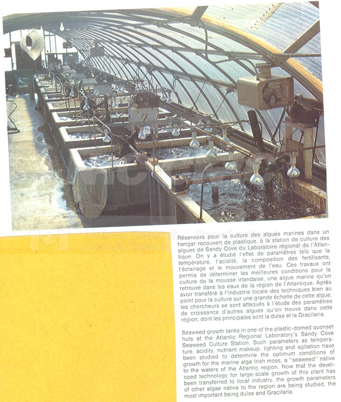 Brochure pour laboratoire régional de l'Atlantique 82-01-004 001